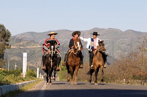 Huasos sharing a joke whilst riding on the Apalta road towards Cunaco for a rodeo Colchagua Chile