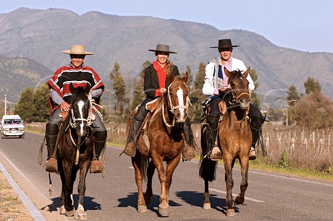 Huasos riding on the Apalta road towards Cunaco for a rodeo Colchagua Chile