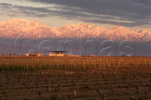 Dawn over OFournier winery and Cabernet Sauvignon vineyard with the snow capped Andes in distance Mendoza Argentina Uco Valley