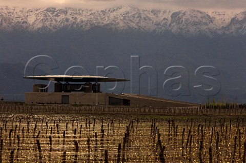 Evening light on OFournier winery and Malbec vineyard with the snow capped Andes beyond Mendoza Argentina