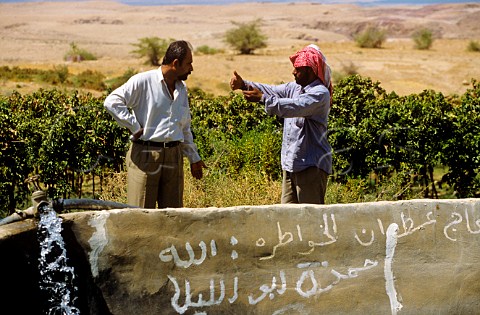 Water reservoir for irrigation at Vineyard near Mount Nebo Jordan
