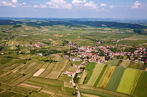 Vineyards surrounding the village of Strass im Strassertal Austria Kamptal