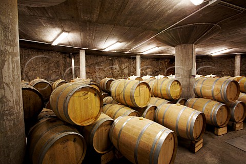 Edi Kante Winery Prepotto Duino Aurisina Friuli Italy Carso