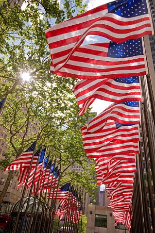Rows of flags at the Rockerfeller Plaza for the Memorial Day weekend holiday Manhattan New York USA