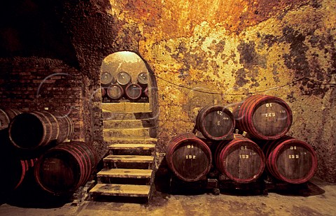 Cellar cut from volcanic limestone at Tibor Gal Winery Eger Hungary Eger