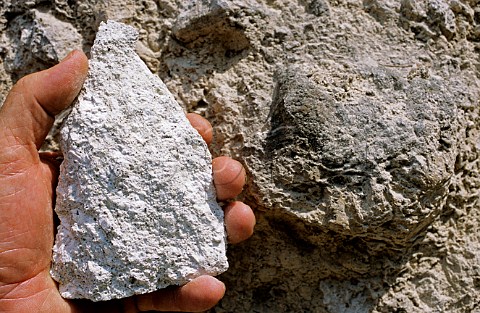 Volcanic limestone at Noszvaj near Eger Hungary Eger