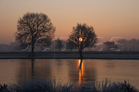 Misty sunrise over frozen Heron Pond Bushy Park London England