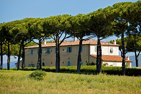 Tenuta Belvedere of Marchesi Antinori where Guado al Tasso is produced Bolgheri Tuscany Italy Bolgheri