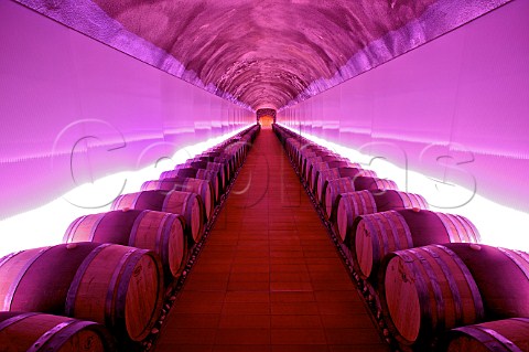 Barrel cellar at Petra Winery architect Mario Botta Suvereto Tuscany Italy Val di Cornia