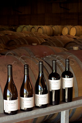 20 Barrels range of Cono Sur wines in the barrel room of their Chimbarongo winery Chile  Colchagua Valley