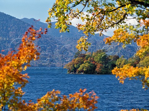 Autumn coloured trees bordering Chuzenjiko lake at Nikko near Tokyo  Japan