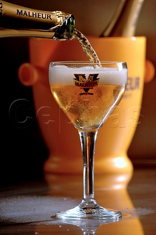 Pouring glass of Malheur Belgian beer