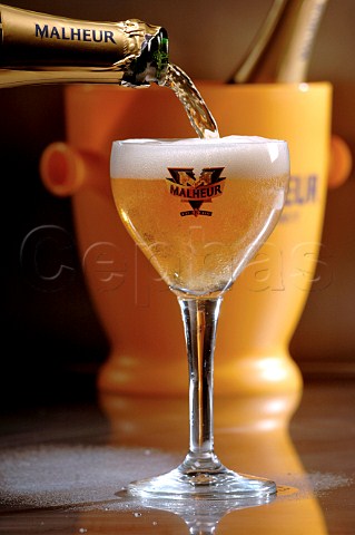 Pouring glass of Malheur Belgian beer