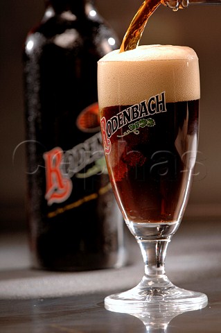 Pouring glass of Rodenbach Belgian beer
