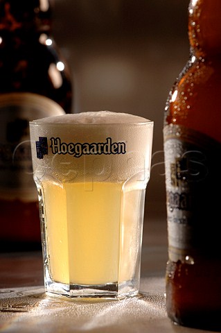 Glass of Hoegaarden Belgian beer
