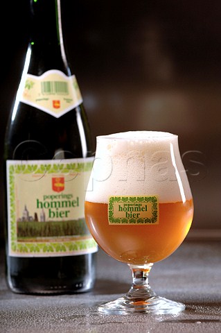 Glass of Poperings Hommel bier Belgian beer