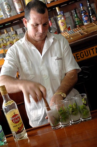 Barman making Mojito cocktails  Havana Cuba