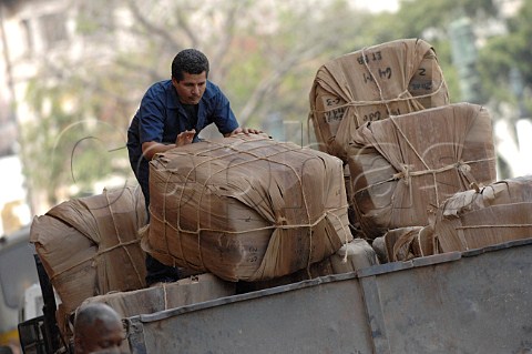 Unloading bales of tobacco for cigar production at Partagas  Havana Cuba