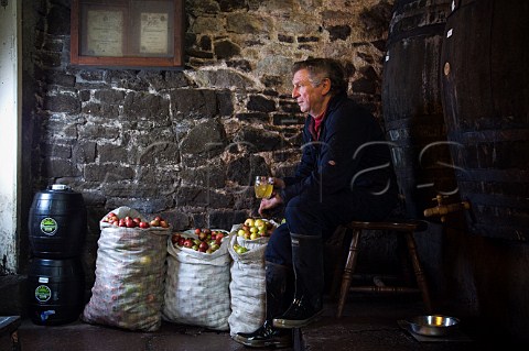 Artisan Cider Maker Roger Wilkins takes a rest in between apple pressing and enjoys a glass of his cider  Wilkins Cider  Landsend Farm Mudgley Wedmore Somerset England
