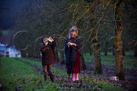 Wassail Queen and Green Man hang toast on an Apple tree during a Wassail event at  Thatchers Cider Farm Sandford North Somerset England