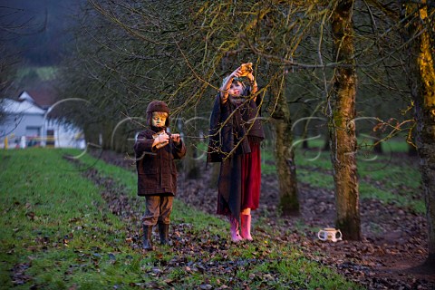 Wassail Queen and Green Man hang toast on an Apple tree during a Wassail event at  Thatchers Cider Farm Sandford North Somerset England