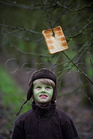 THe Green Man hangs toast on an Apple tree during a Wassail event at  Thatchers Cider Farm Sandford North Somerset England