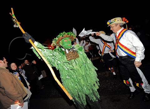 The Green Man and Mendip Morris Men lead the Wassailing Procession during Thatchers Cider Wassailing event Thatchers Cider Farm Sandford North Somerset England