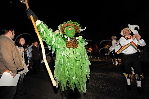The Green Man and Mendip Morris Men lead the Wassailing Procession during Thatchers Cider Wassailing event Thatchers Cider Farm Sandford North Somerset England