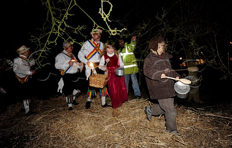 Mendip Morris Men lead the Wassailing Procession with the Wassail Queen and children around the apple tree banging pots and pans  Thatchers Cider Wassailing event Thatchers Cider Farm Sandford North Somerset England