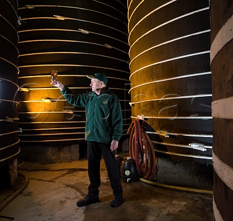 Worker checking cider amongst oak cider vats Thatchers Cider Sandford North Somerset England