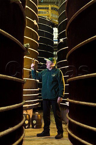 Worker checking cider amongst oak cider vats Thatchers Cider Sandford North Somerset England