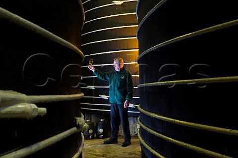 Worker checking cider amongst oak cider vats Thatchers Cider Sandford North Somerset England
