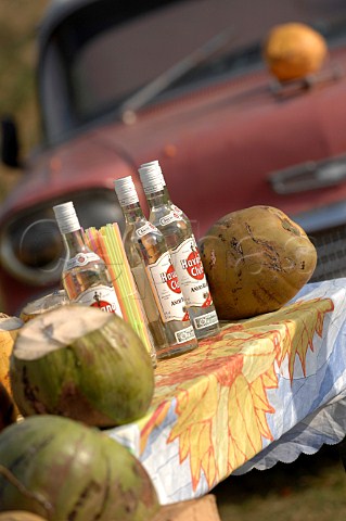 Bottles of Havana Club Rum with coconuts on market stall  Havana Cuba