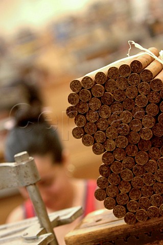 Handmade cigars at the Upmann factory Havana Cuba