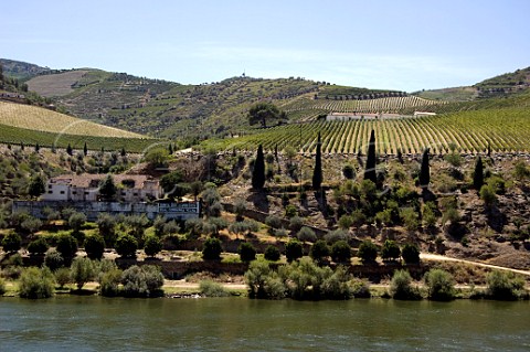 Quinta dos Aciprestes of Real Companhia Velha above the River Douro near Tua   Portugal  Douro  Port