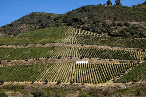 Grahams Vila Velha vineyard on the south bank of the river Douro between Pinhao and Tua Portugal Douro  Port
