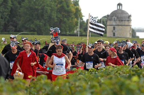 Runners on the Marathon du Mdoc in vineyards of Chteau Latour