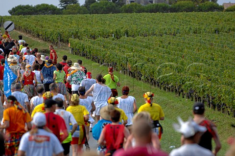 Marathon du Mdoc runners on the D2 between Pauillac and StJulien  Gironde Aquitaine France