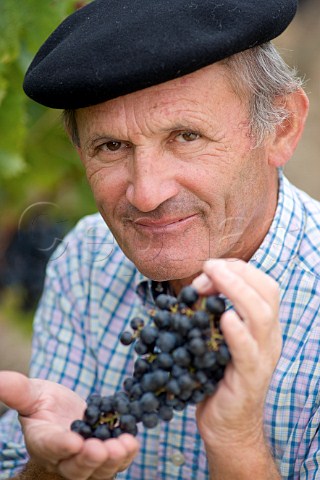 Michel Mesnard picking grapes in vineyard of Chteau de Chantegrive Podensac Gironde France  Graves  Bordeaux