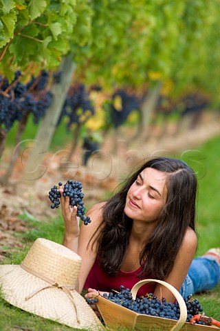 Young woman with basket of freshly picked grapes in vineyard of Chteau de Chantegrive Podensac Gironde France  Graves  Bordeaux