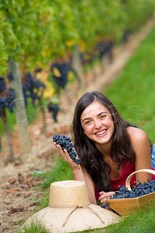 Young woman with basket of freshly picked grapes in vineyard of Chteau de Chantegrive Podensac Gironde France  Graves  Bordeaux