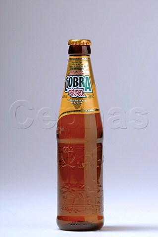 Bottle of Cobra Beer