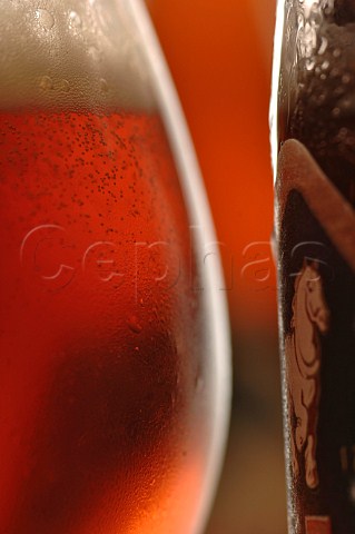 Closeup of glass of Palm Belgian beer