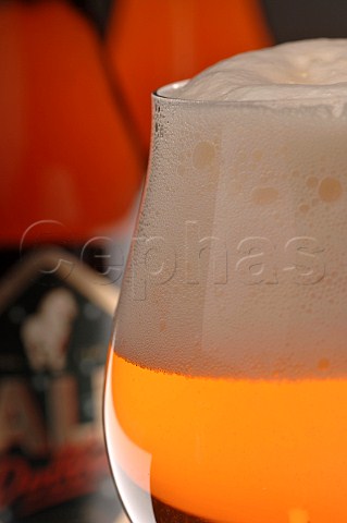 Glass of Palm Belgian beer