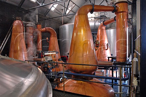Copper pot stills at Tullibardine distillery Blackford Perthshire Scotland