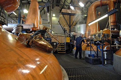 Copper pot stills at Tullibardine distillery Blackford Perthshire Scotland