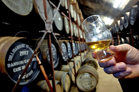 Whisky tasting in barrel warehouse at Tullibardine distillery Blackford Perthshire Scotland