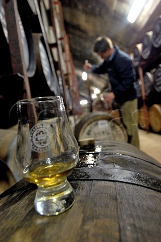 Sampling whisky from barrel in warehouse at Tullibardine distillery Blackford Perthshire Scotland