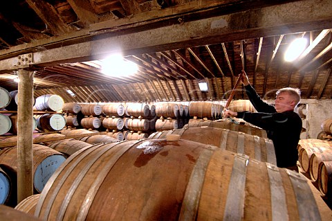 Sampling whisky from barrel in warehouse at Glen Grant Distillery Speyside Scotland