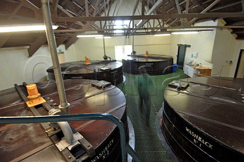 Washbacks at Glenlivet distillery Ballindalloch Banffshire Scotland